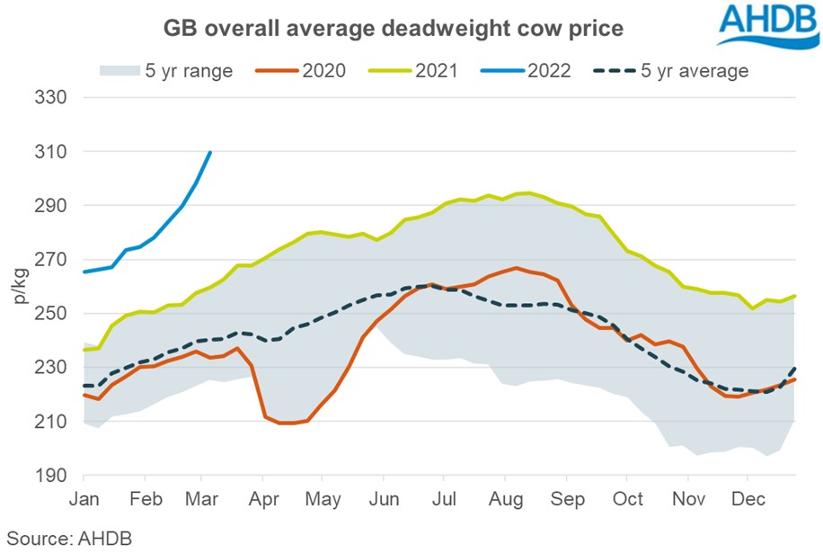 graph of cull cow deadweight prices